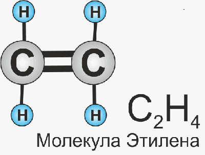 молекула этилена